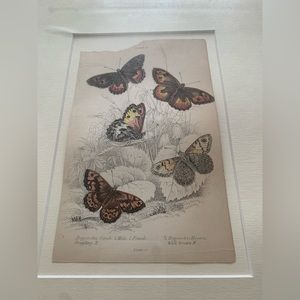 William Home Lizars Lithography Set of 3 Framed Art